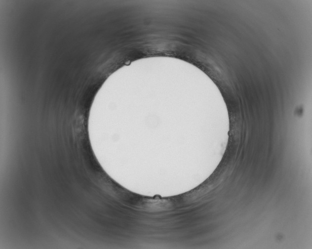 X0000116260087201001111002