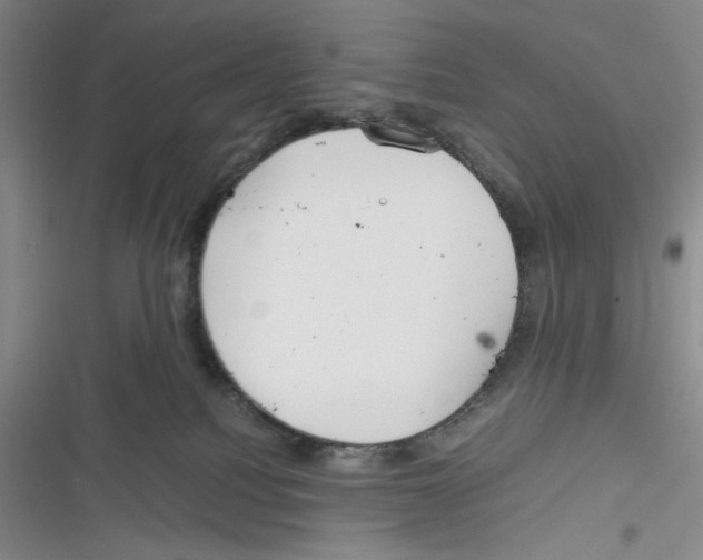 X0000116260088201001111002
