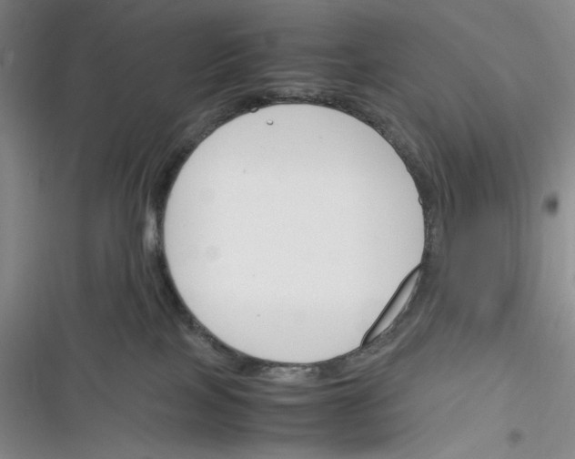 X0000116260089201001111002