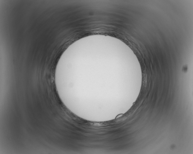 X0000116260091201001111002