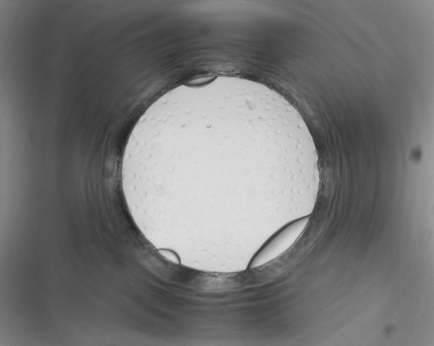 X0000116260093201001111002