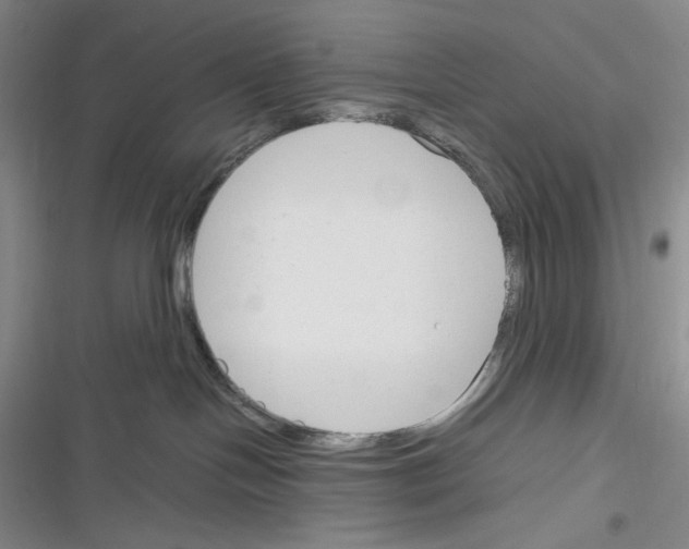 X0000116260094201001111002