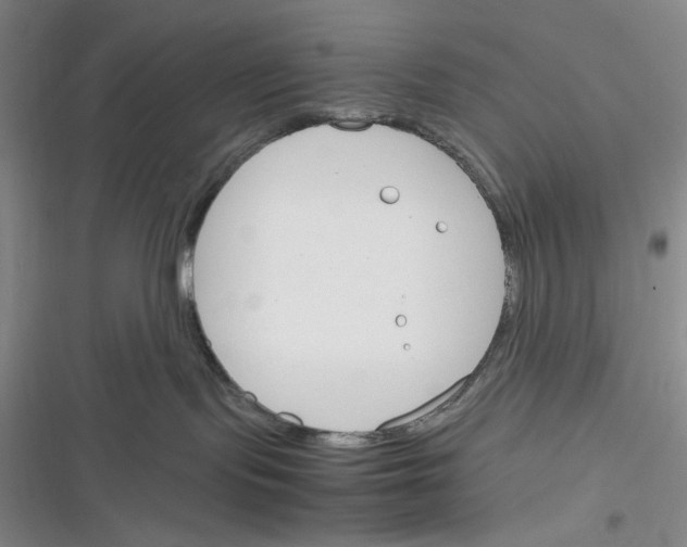 X0000116260095201001111002