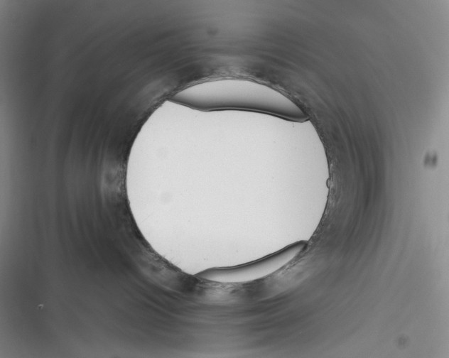X0000116260096201001111002