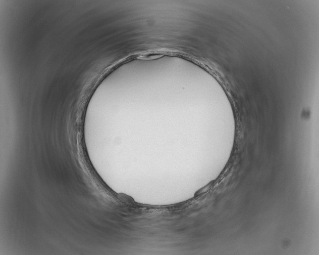 X0000116260097201001111002