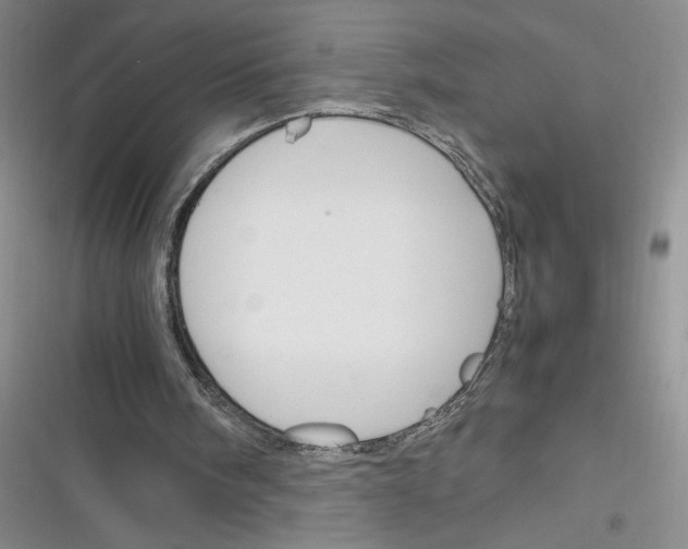 X0000116260098201001111002