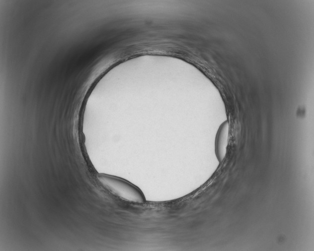 X0000116260099201001111002