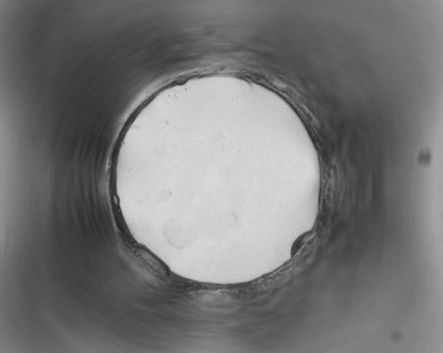 X0000116260100201001111002