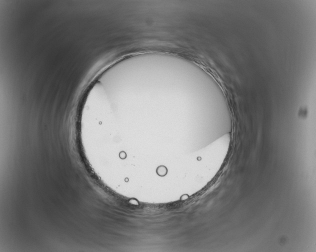 X0000116260101201001111002