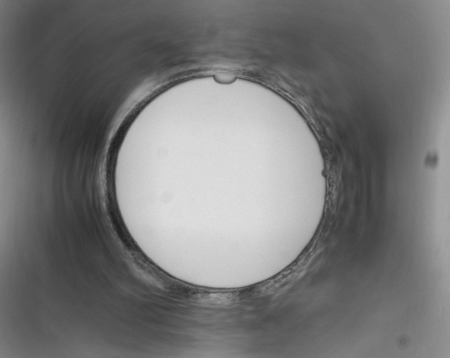 X0000116260102201001111002