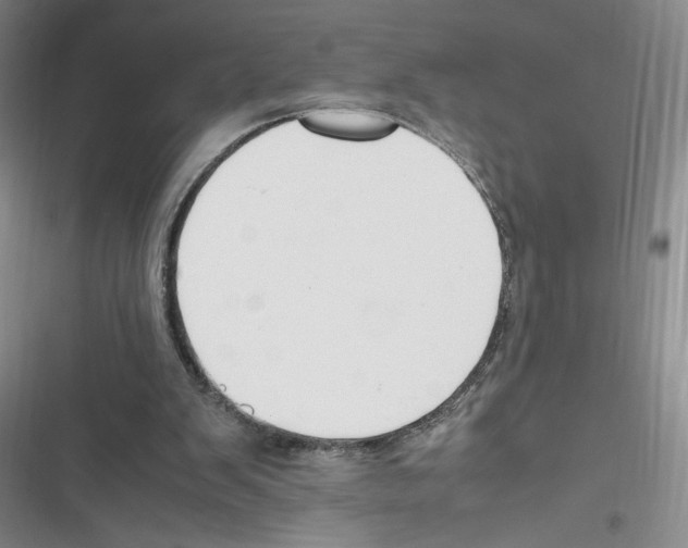 X0000116260103201001111002