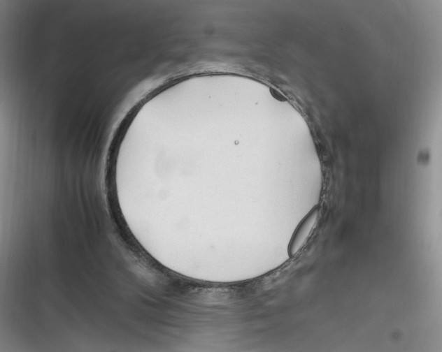 X0000116260104201001111002