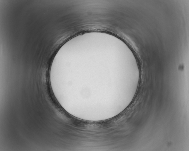 X0000116260105201001111002