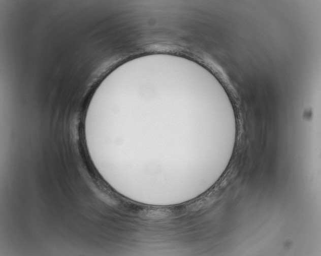 X0000116260106201001111002