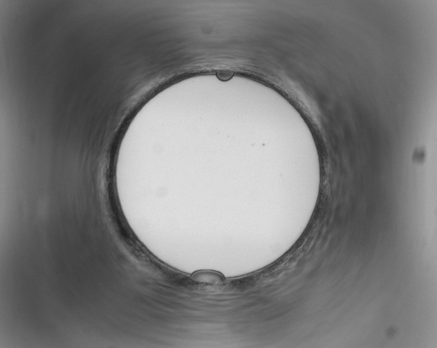 X0000116260107201001111002