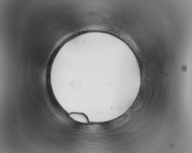 X0000116260108201001111002