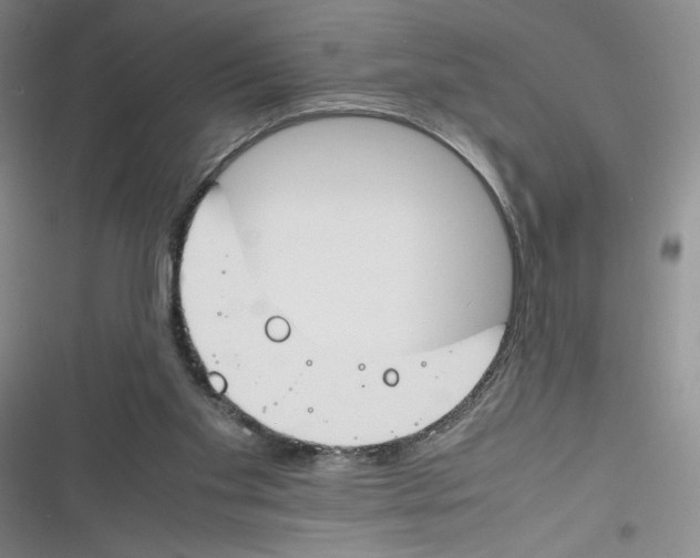 X0000116260109201001111002