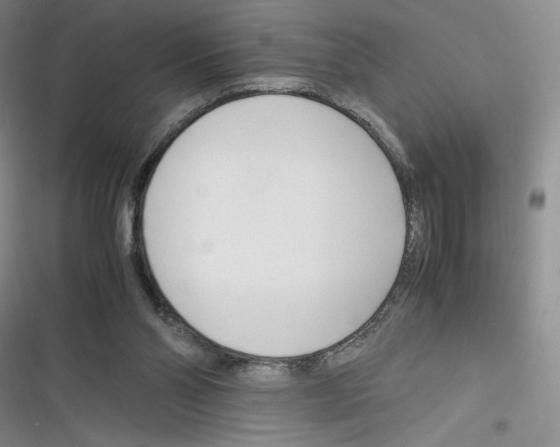 X0000116260110201001111002