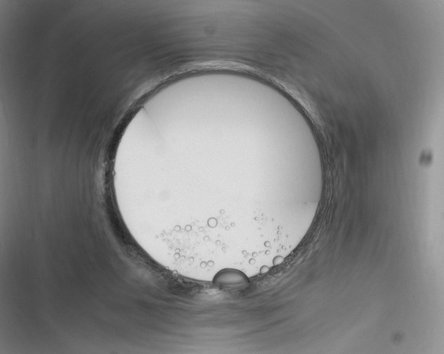 X0000116260111201001111002