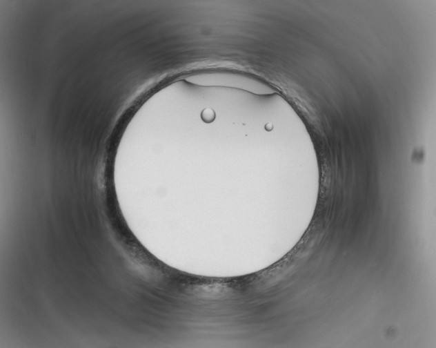 X0000116260112201001111002
