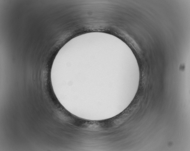 X0000116260113201001111002
