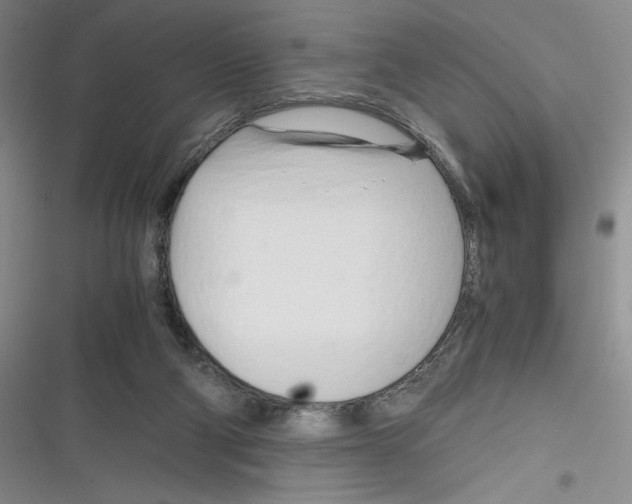 X0000116260114201001111002