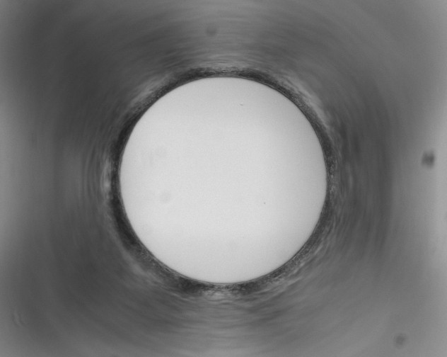 X0000116260115201001111001