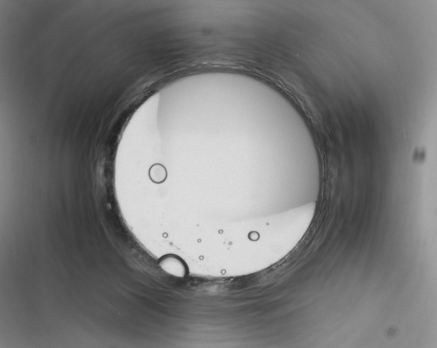 X0000116260116201001111001