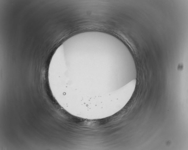 X0000116260117201001111001