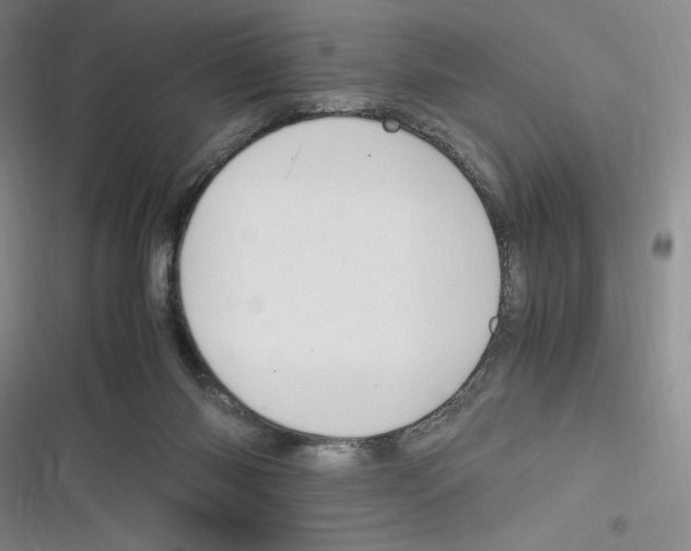 X0000116260118201001111001