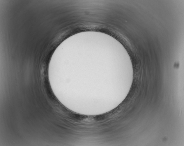 X0000116260119201001111001