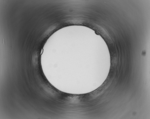 X0000116260120201001111001