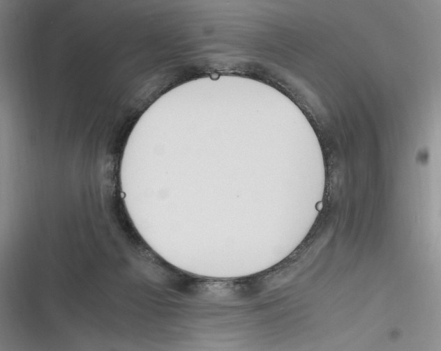 X0000116260121201001111001