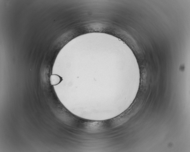 X0000116260122201001111001