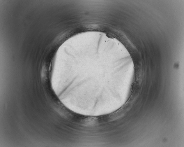 X0000116260124201001111001