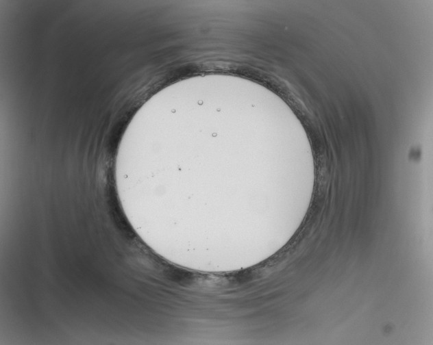 X0000116260125201001111001