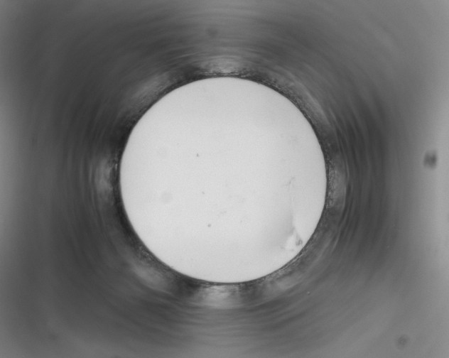 X0000116260126201001111001
