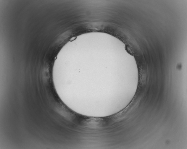X0000116260128201001111001