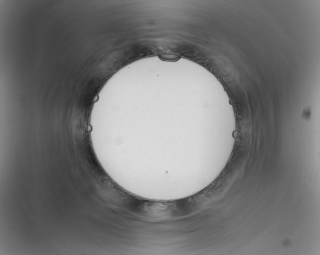 X0000116260129201001111001