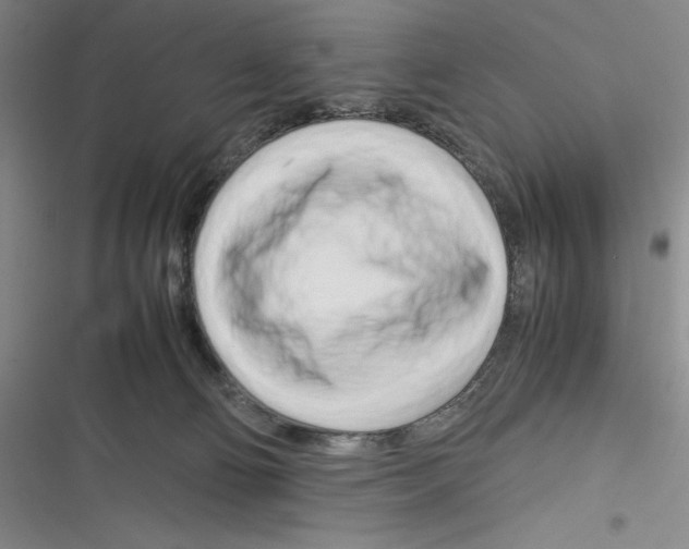 X0000116260130201001111001
