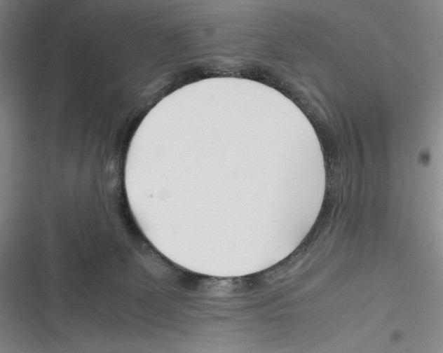 X0000116260131201001111001