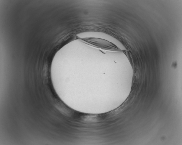 X0000116260132201001111001