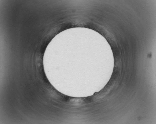 X0000116260133201001111001