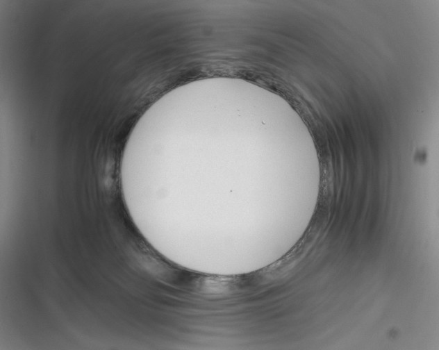 X0000116260134201001111001