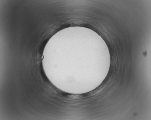 X0000116260135201001111001
