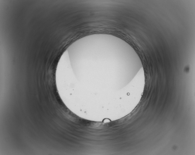 X0000116260136201001111001