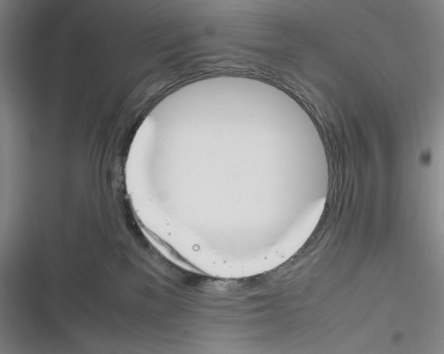 X0000116260137201001111001