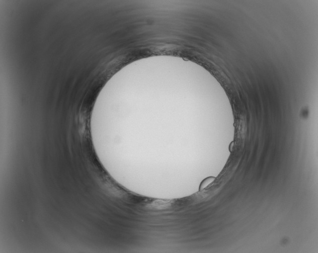 X0000116260138201001111001