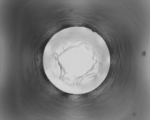X0000116260139201001111001