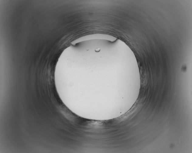X0000116260140201001111001